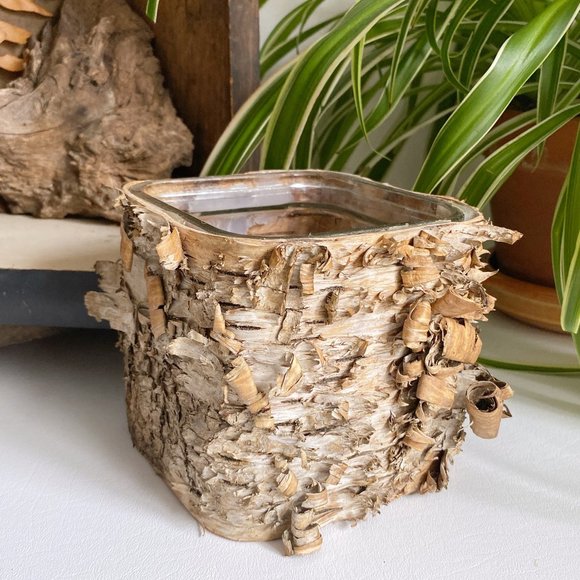 Vintage Other - Natural Wood Birch Bark Planter Floral Flower Glass Square Vase Catch All Pot